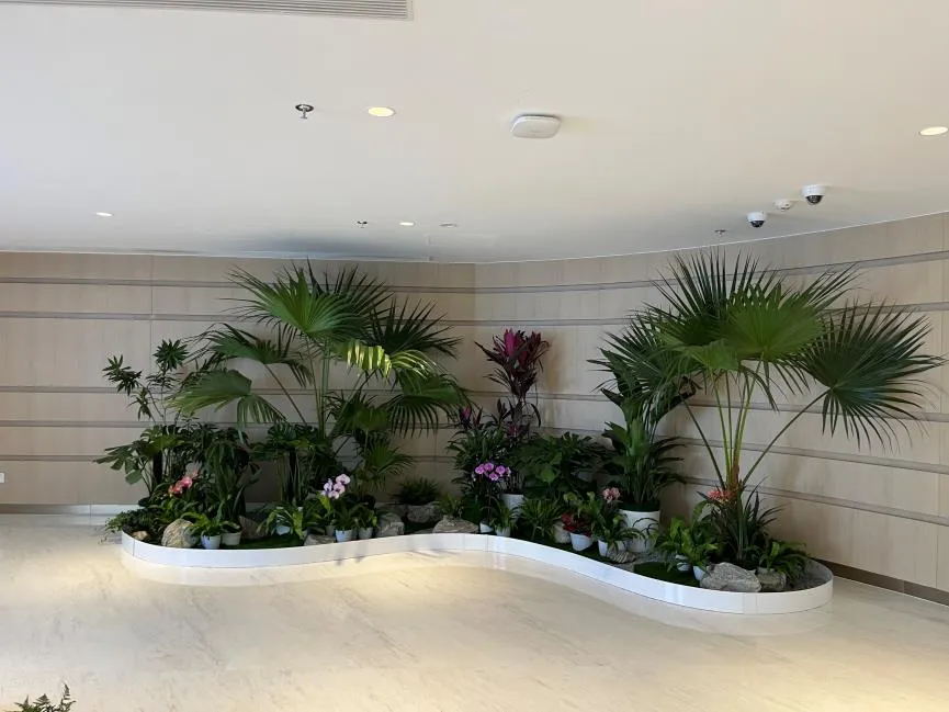 宁波奉化绿化修剪 宁波奉化绿化修剪